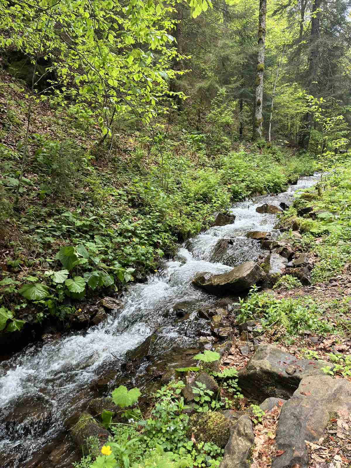 492683380_4017316418538449_6794628211950215971_n