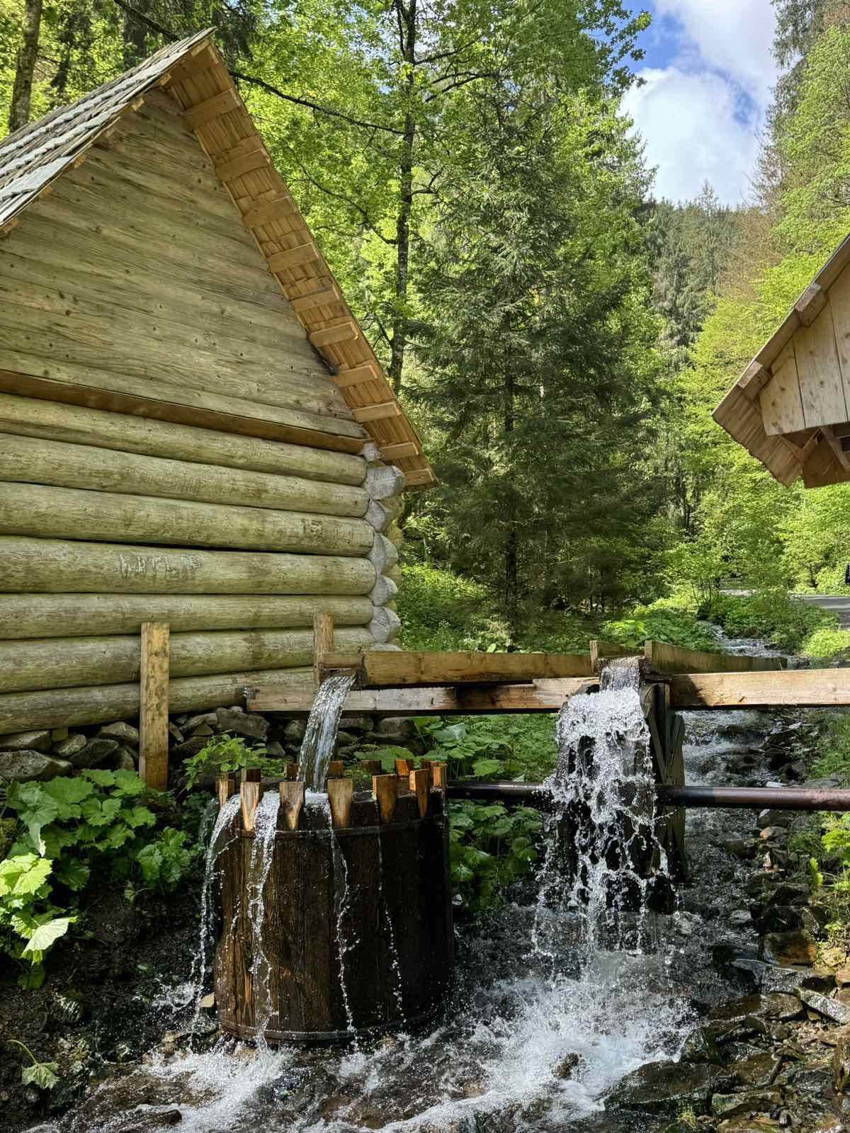 492917850_4017316181871806_5531581090877390003_n