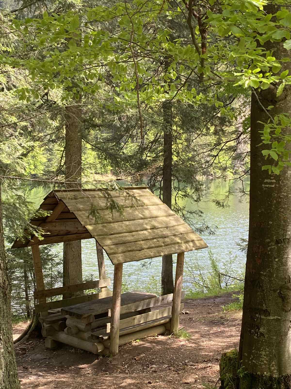 493133113_4017316171871807_4884257086305897008_n