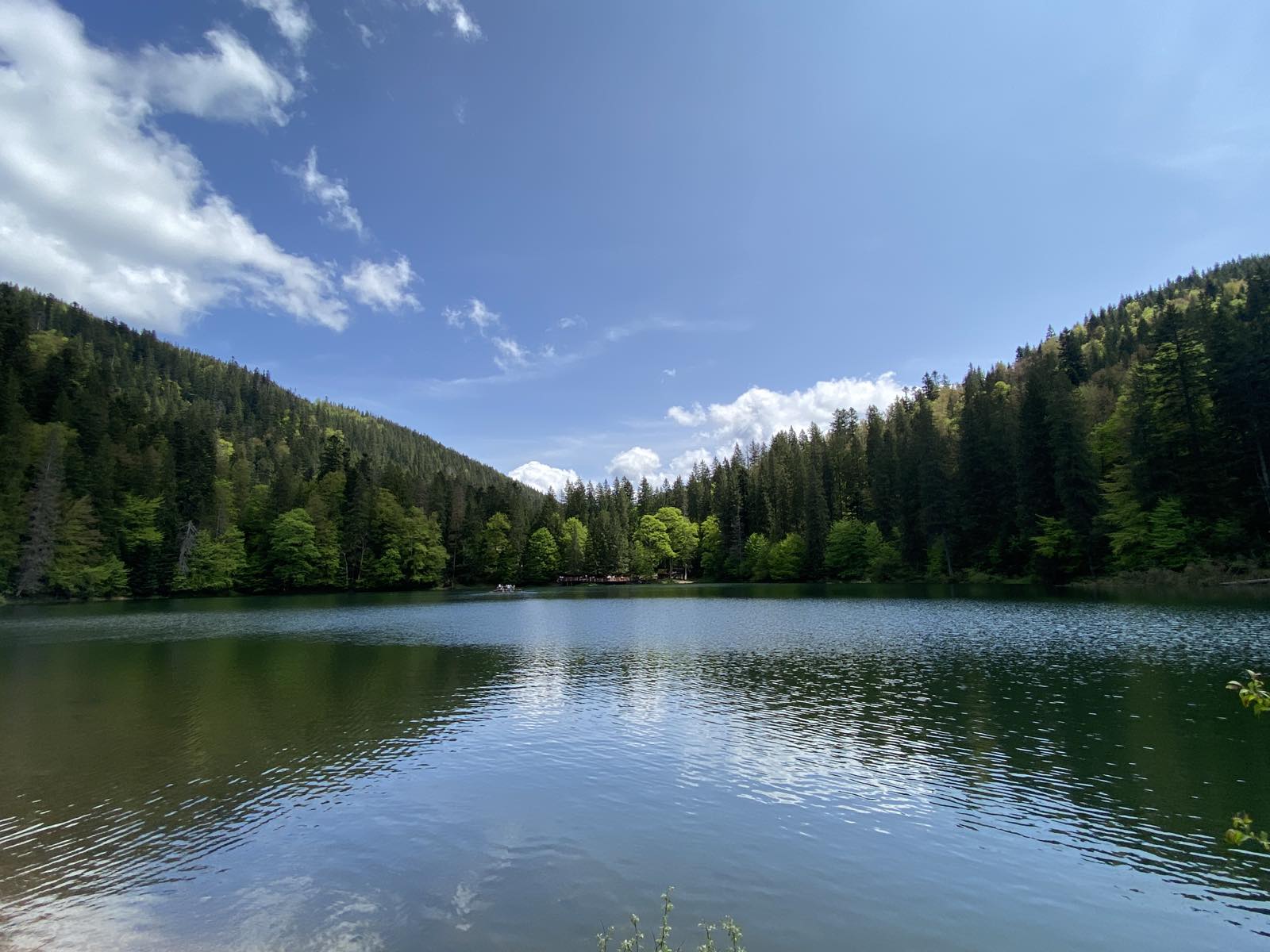 495297264_4017316065205151_9062073005879782270_n