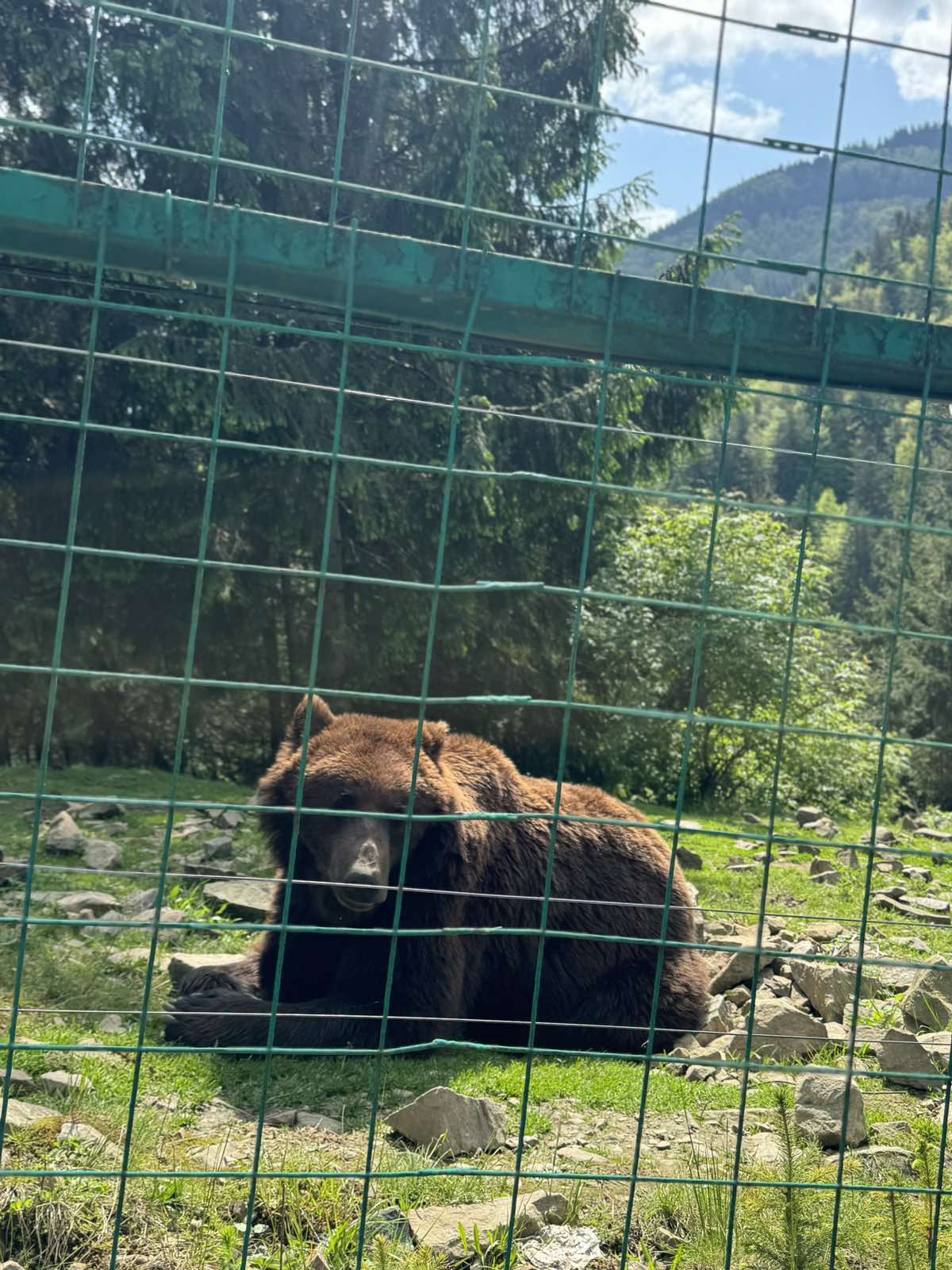 496172312_4017316548538436_8303351711444970719_n