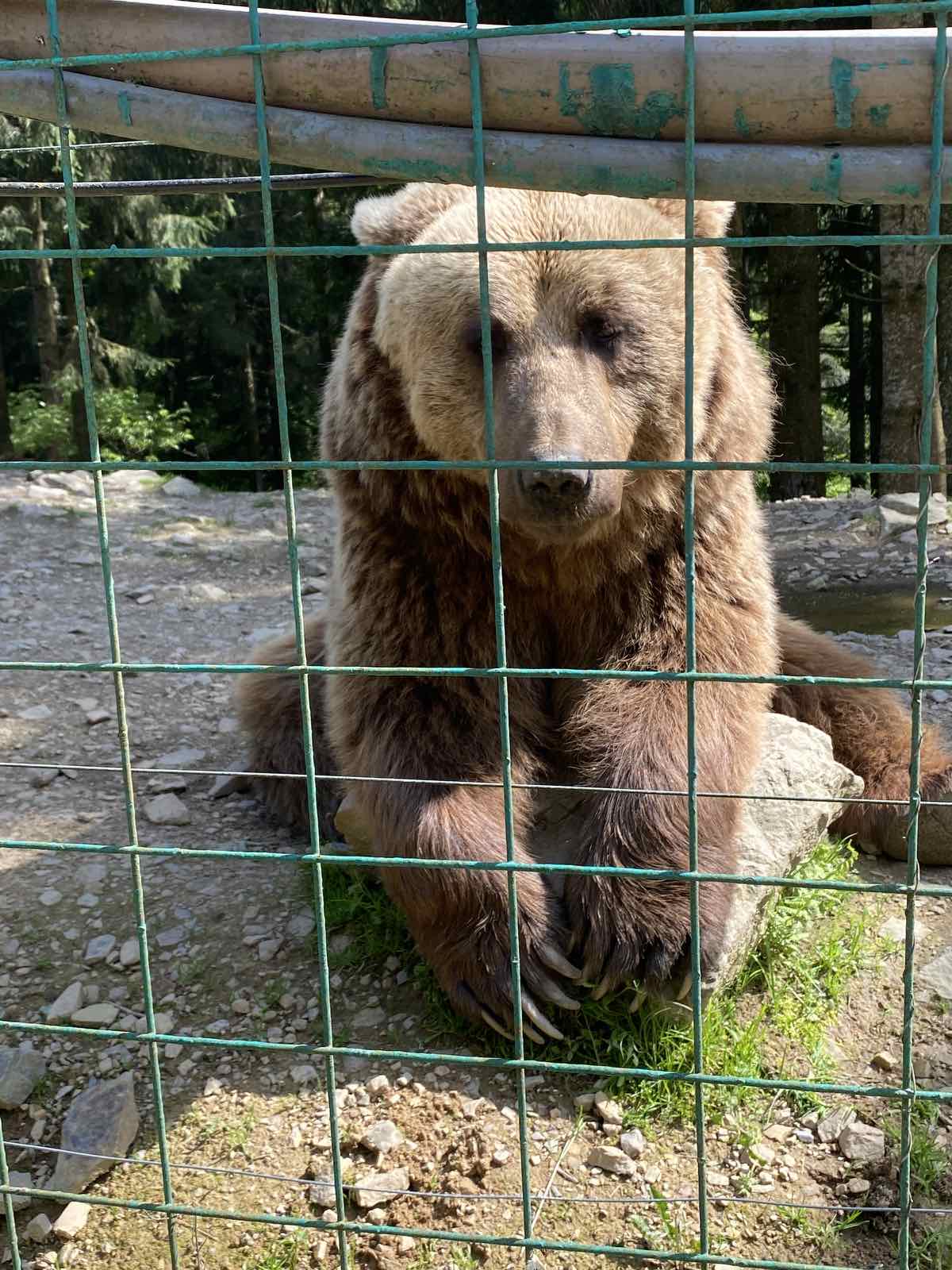 498203100_4017316355205122_7628309770235585784_n