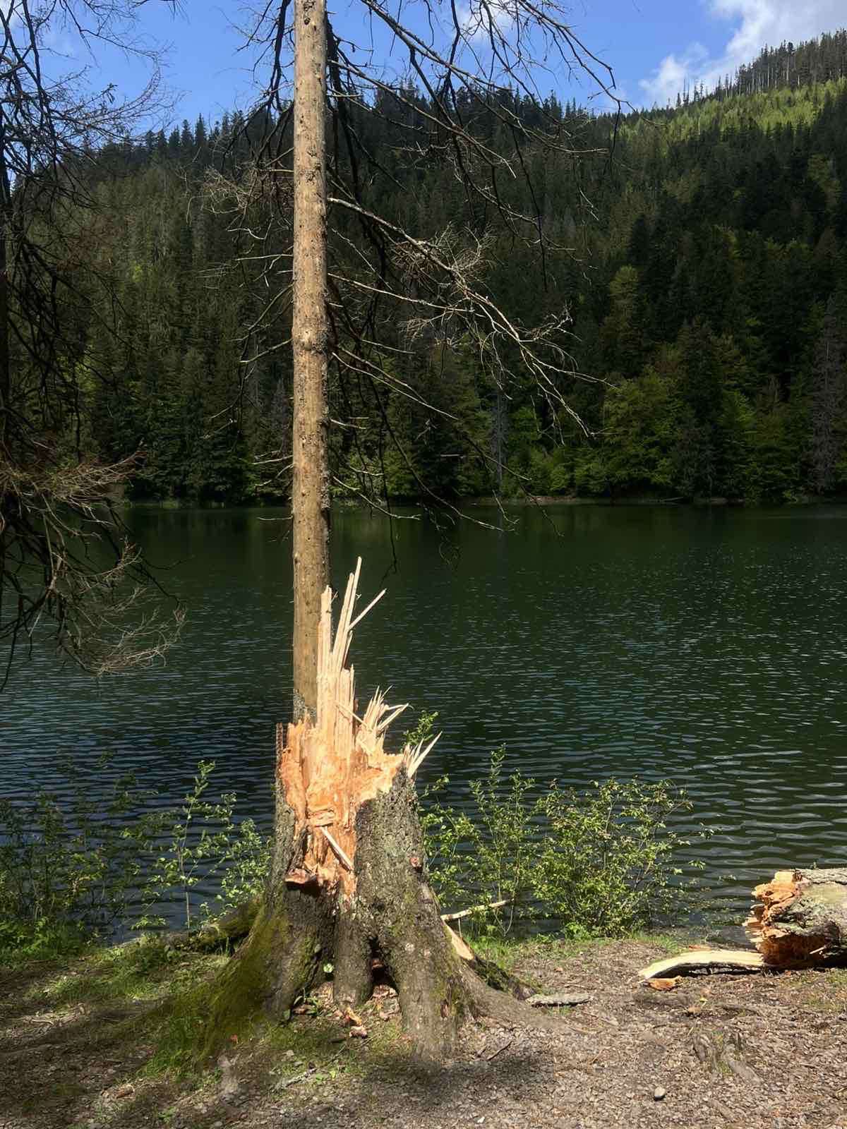 501202812_4017316598538431_4818421525567037387_n