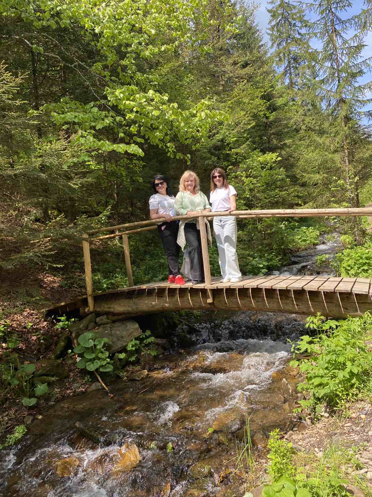 503517743_4017316178538473_6811255366984405652_n