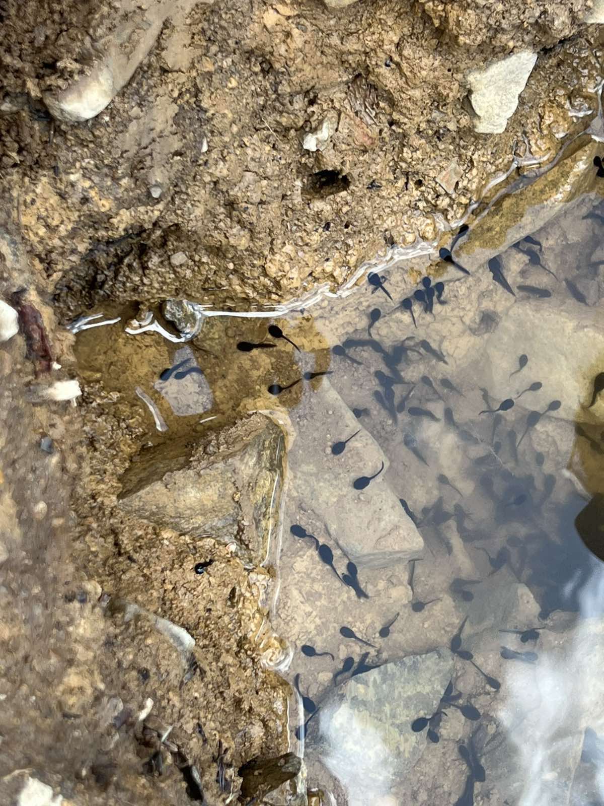 503804523_4017316545205103_8106654763168052185_n