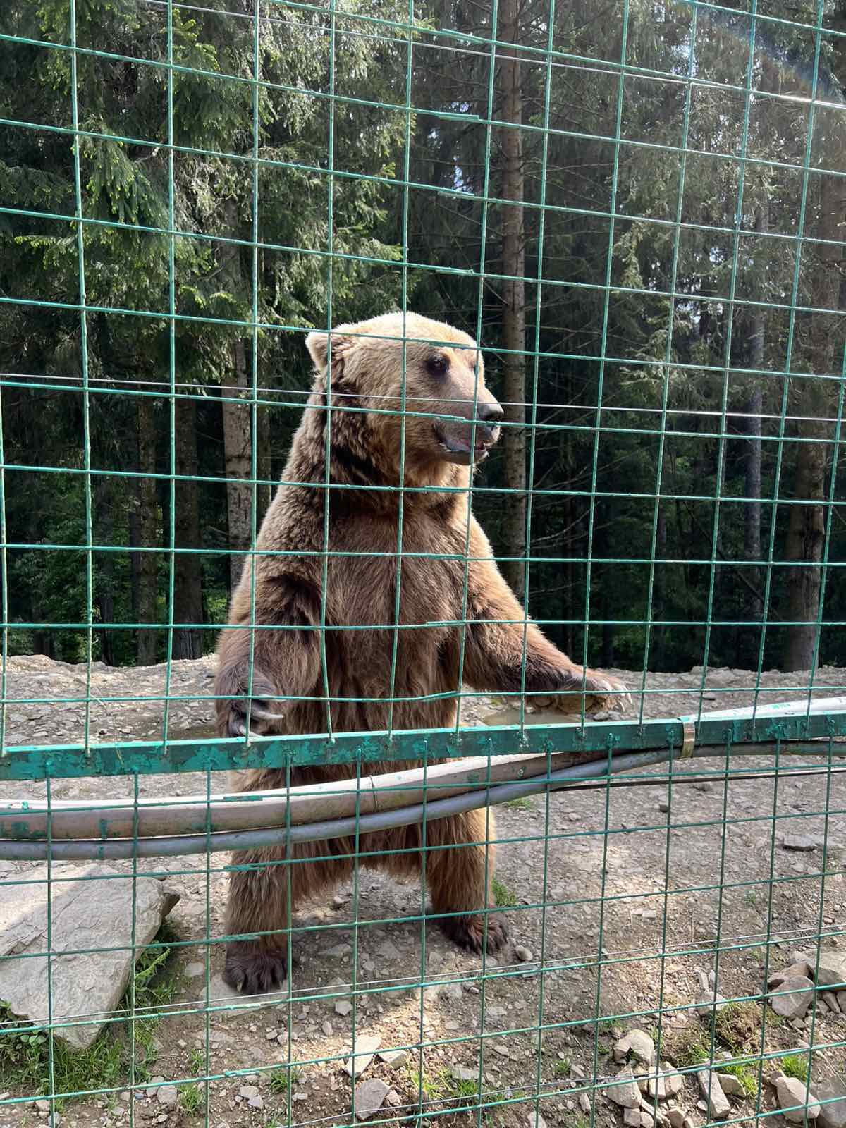 504251013_4017316691871755_2443811315830305841_n